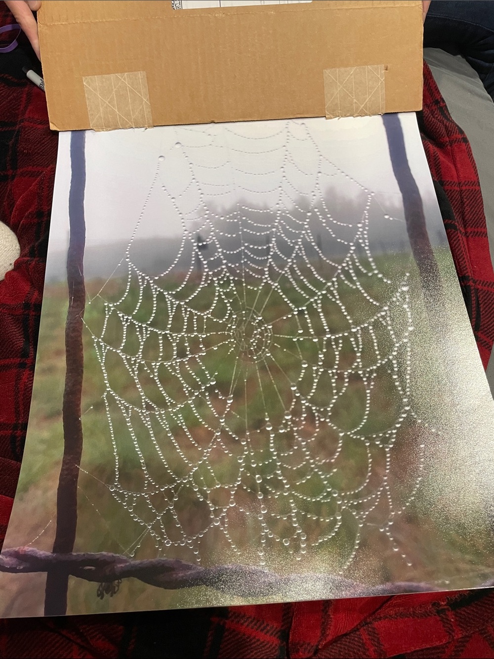 Dew-Covered Spiderweb Photo Print - Rustic Nature Wall Art